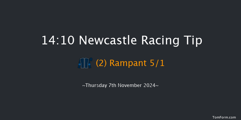 Newcastle  14:10 Handicap (Class 6) 10f Tue 5th Nov 2024