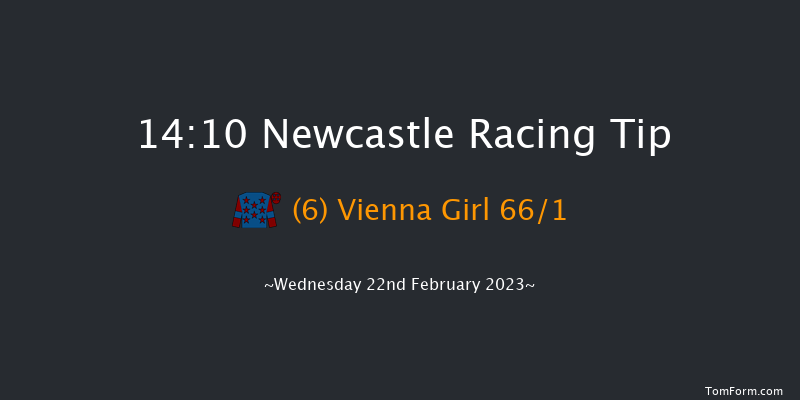 Newcastle 14:10 Stakes (Class 4) 10f Mon 20th Feb 2023