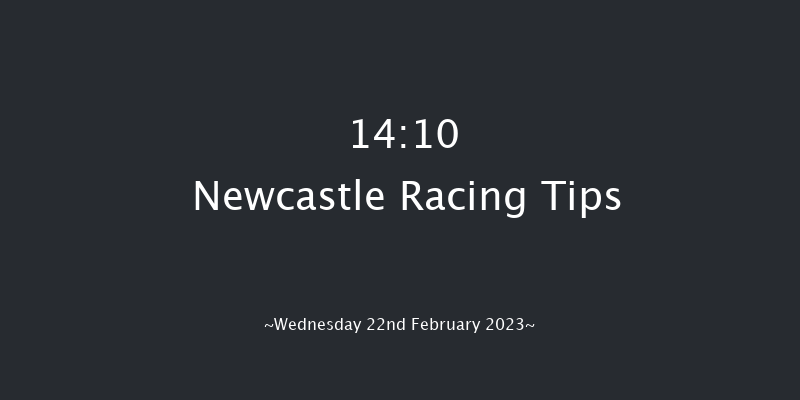 Newcastle 14:10 Stakes (Class 4) 10f Mon 20th Feb 2023