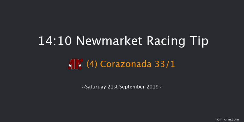 Newmarket 14:10 Stakes (Class 4) 8f Sat 24th Aug 2019