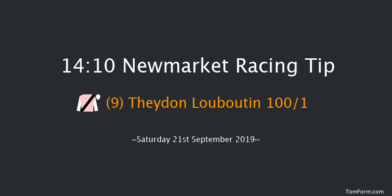 Newmarket 14:10 Stakes (Class 4) 8f Sat 24th Aug 2019