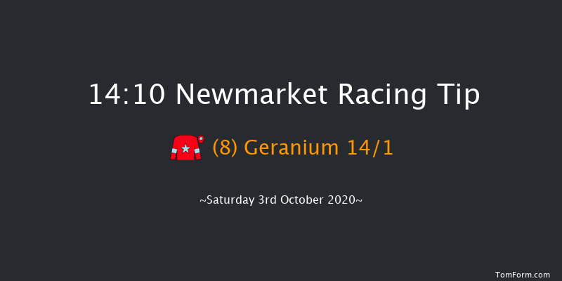 British EBF Premier Fillies' Handicap Newmarket 14:10 Handicap (Class 2) 10f Sat 26th Sep 2020