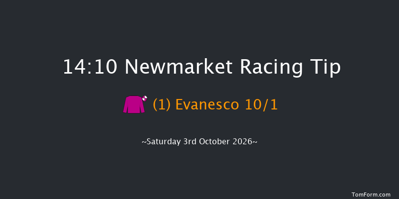 Newmarket 14-10 (Class 2) 12f Sat 26th Sep 2026