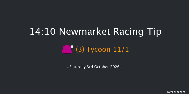 Newmarket 14-10 (Class 2) 12f Sat 26th Sep 2026