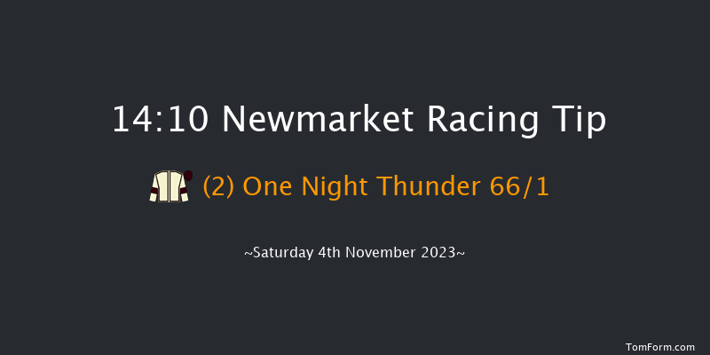 Newmarket 14:10 Handicap (Class 3) 8f Fri 3rd Nov 2023