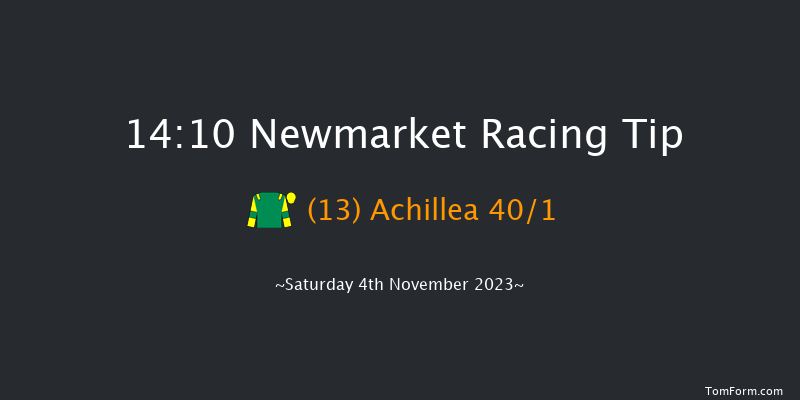 Newmarket 14:10 Handicap (Class 3) 8f Fri 3rd Nov 2023