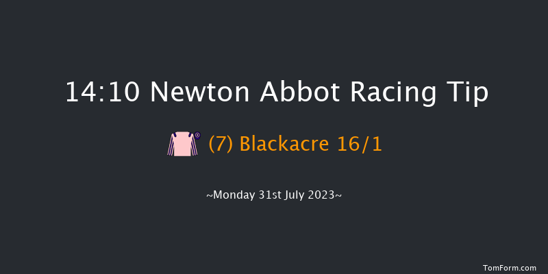 Newton Abbot 14:10 Maiden Hurdle (Class 3) 22f Sun 23rd Jul 2023