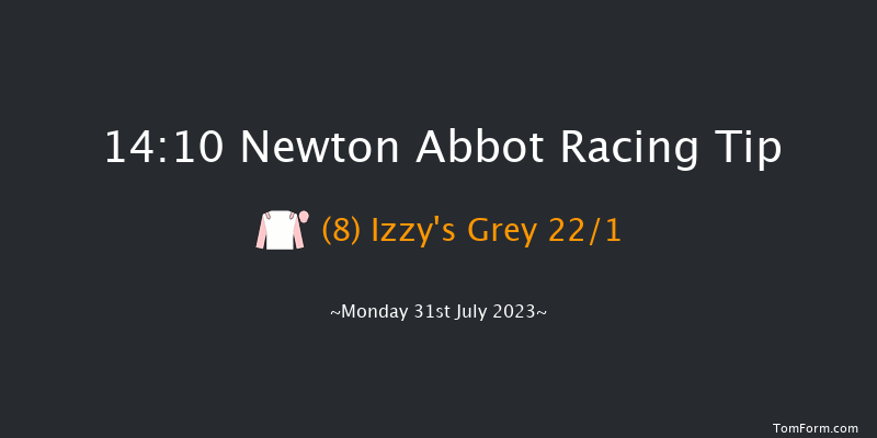Newton Abbot 14:10 Maiden Hurdle (Class 3) 22f Sun 23rd Jul 2023
