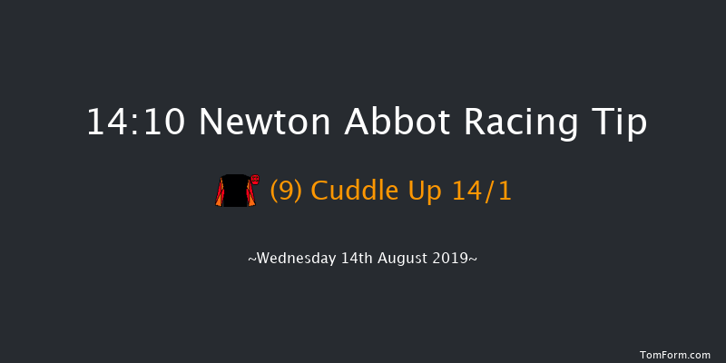 Newton Abbot 14:10 Maiden Hurdle (Class 4) 18f Mon 29th Jul 2019