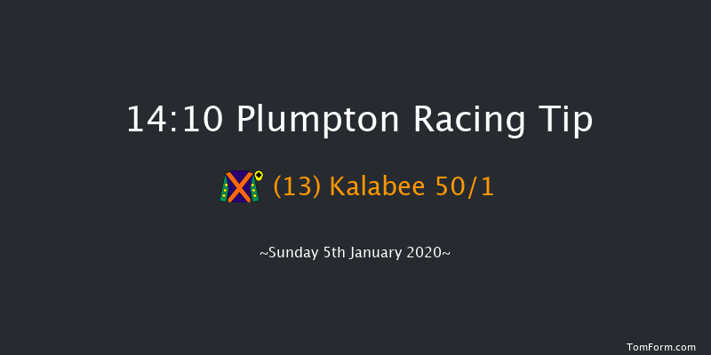 Plumpton 14:10 Handicap Hurdle (Class 5) 20f Mon 16th Dec 2019