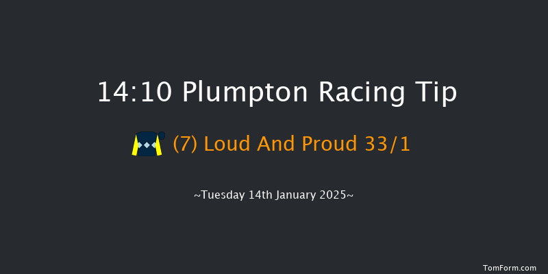 Plumpton  14:10 Maiden Hurdle (Class 4) 16f Sun 5th Jan 2025