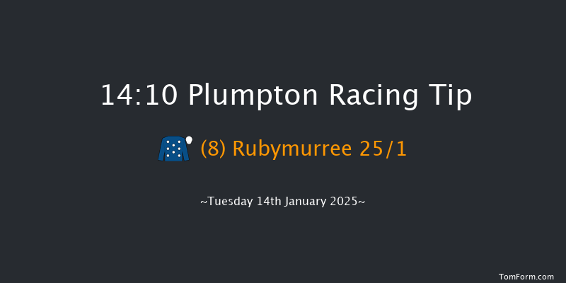 Plumpton  14:10 Maiden Hurdle (Class 4) 16f Sun 5th Jan 2025