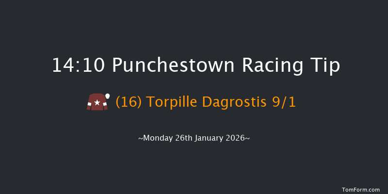 Punchestown 14-10 19f Mon 12th Jan 2026