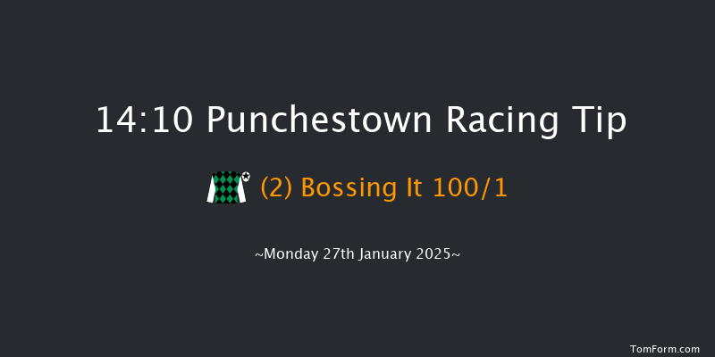 Punchestown  14:10 Maiden Hurdle 19f Mon 13th Jan 2025