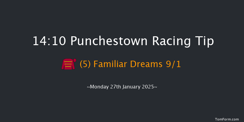 Punchestown  14:10 Maiden Hurdle 19f Mon 13th Jan 2025