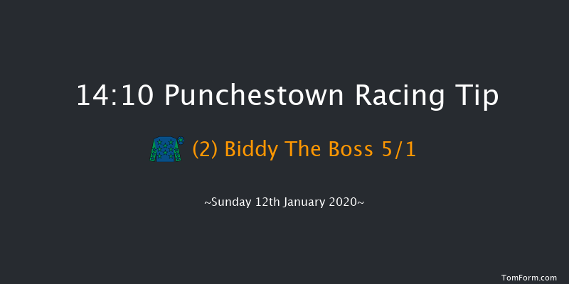 Punchestown 14:10 Handicap Chase 26f Tue 31st Dec 2019