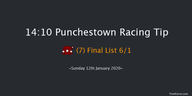 Punchestown 14:10 Handicap Chase 26f Tue 31st Dec 2019