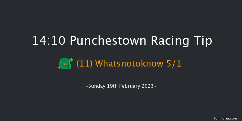 Punchestown 14:10 Handicap Chase 28f Mon 30th Jan 2023