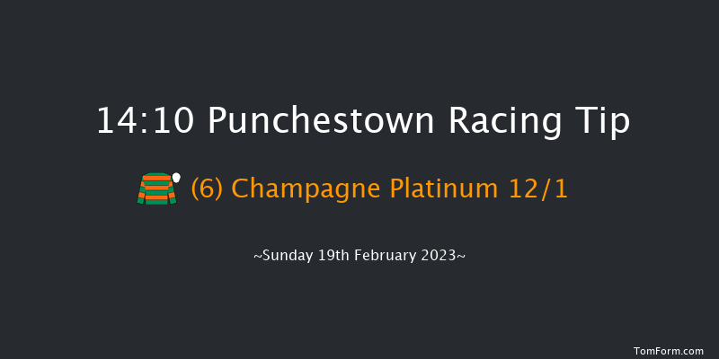 Punchestown 14:10 Handicap Chase 28f Mon 30th Jan 2023