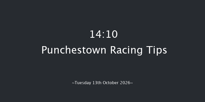 Punchestown 14-10 16f Tue 15th Sep 2026