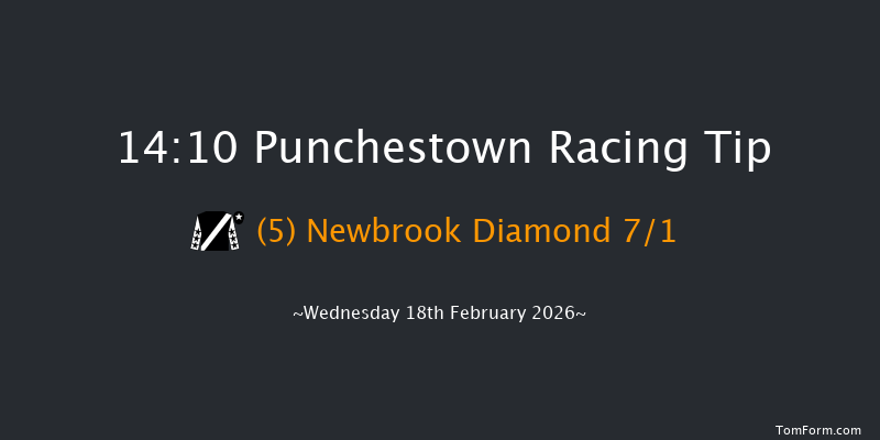 Punchestown 14-10 20f Sun 15th Feb 2026