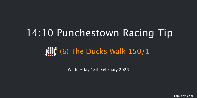 Punchestown 14-10 20f Sun 15th Feb 2026