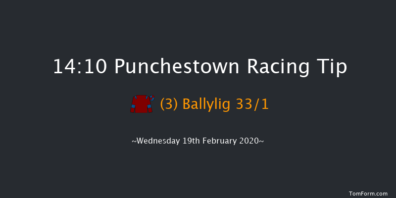 I.N.H. Stallion Owners EBF Maiden Hurdle Punchestown 14:10 Maiden Hurdle 20f Tue 18th Feb 2020
