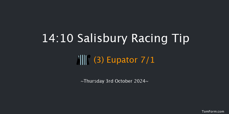 Salisbury  14:10 Stakes (Class 4) 8f Fri 13th Sep 2024