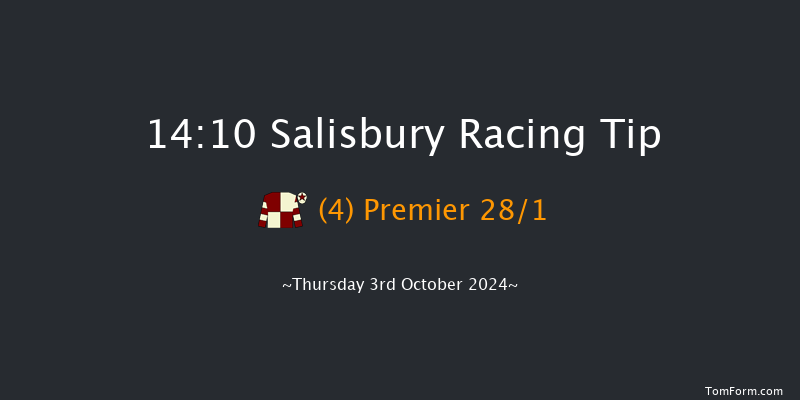 Salisbury  14:10 Stakes (Class 4) 8f Fri 13th Sep 2024