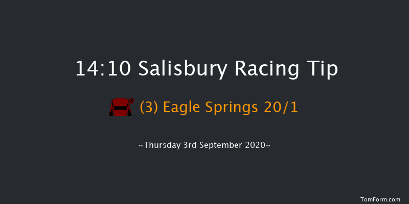 Shadwell Novice Stakes (Plus 10) Salisbury 14:10 Stakes (Class 4) 8f Fri 21st Aug 2020