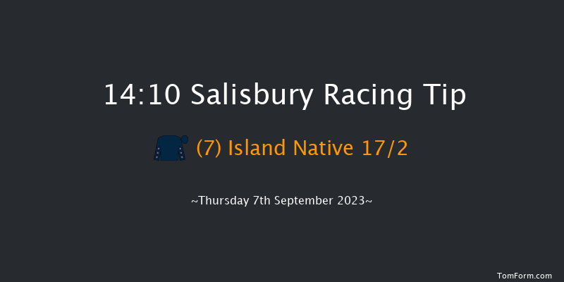 Salisbury 14:10 Handicap (Class 5) 8f Fri 1st Sep 2023