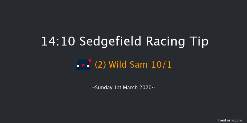 Temptations Bishop Auckland Handicap Hurdle Sedgefield 14:10 Handicap Hurdle (Class 5) 17f Thu 20th Feb 2020