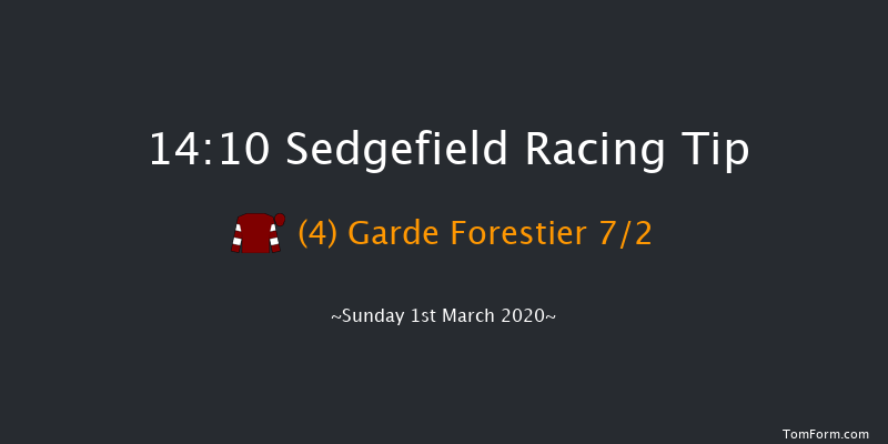 Temptations Bishop Auckland Handicap Hurdle Sedgefield 14:10 Handicap Hurdle (Class 5) 17f Thu 20th Feb 2020