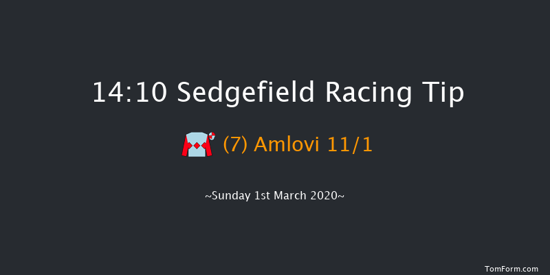 Temptations Bishop Auckland Handicap Hurdle Sedgefield 14:10 Handicap Hurdle (Class 5) 17f Thu 20th Feb 2020