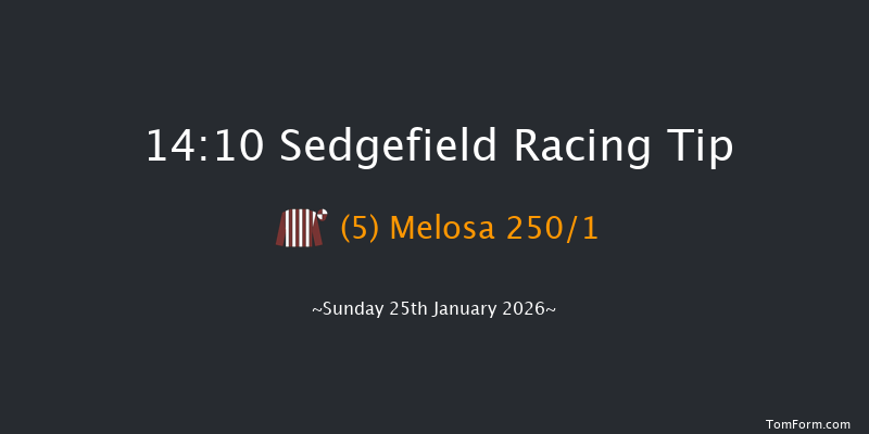 Sedgefield 14-10 (Class 4) 19f Fri 26th Dec 2025