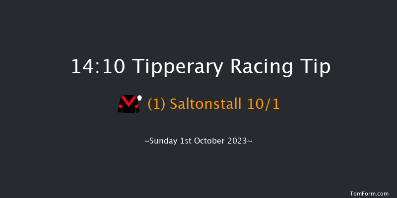 Tipperary 14:10 Handicap 9f Sun 3rd Sep 2023