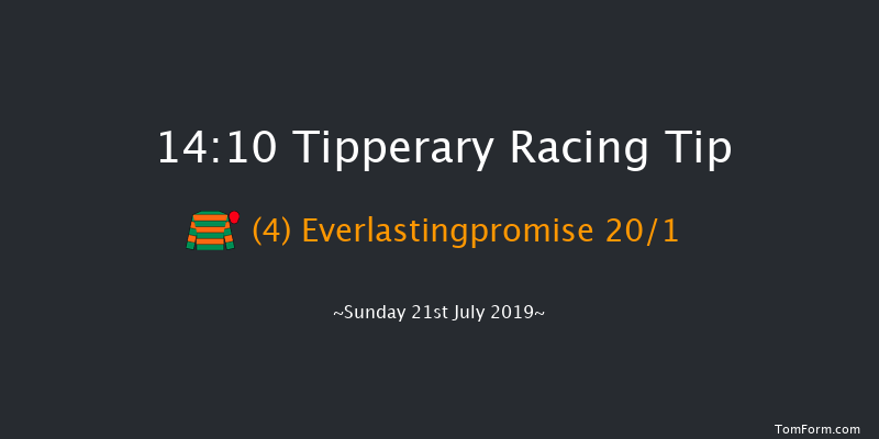 Tipperary 14:10 Maiden Chase 17f Thu 4th Jul 2019