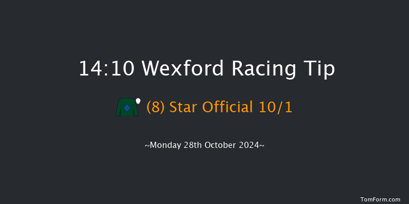 Wexford  14:10 Handicap Hurdle 16f Sun 27th Oct 2024