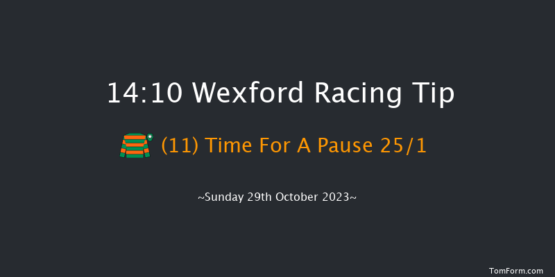 Wexford 14:10 Maiden Hurdle 16f Fri 1st Sep 2023