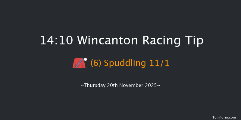 Wincanton 14-10 (Class 5) 15f Sat 8th Nov 2025