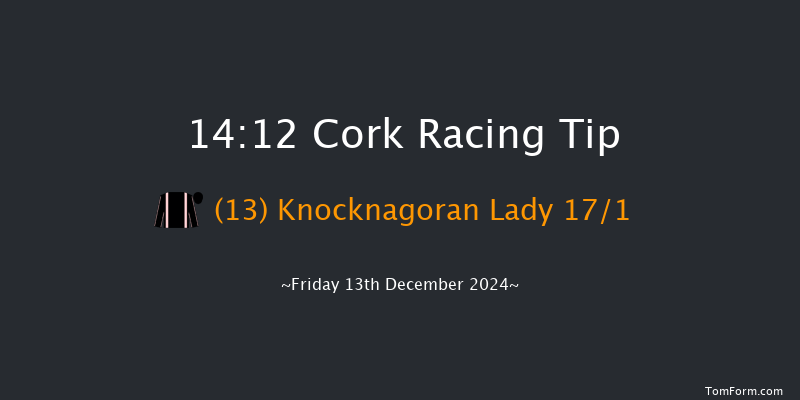 Cork  14:12 Handicap Hurdle 20f Sun 8th Dec 2024