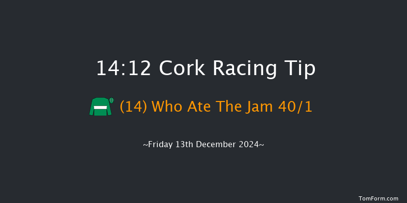 Cork  14:12 Handicap Hurdle 20f Sun 8th Dec 2024