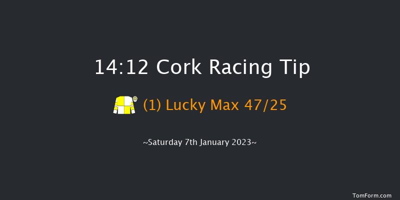 Cork 14:12 Handicap Hurdle 20f Sun 11th Dec 2022