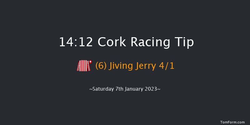 Cork 14:12 Handicap Hurdle 20f Sun 11th Dec 2022