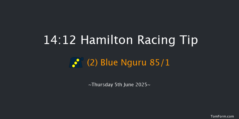 Hamilton 14-12 (Class 5) 6f Wed 28th May 2025