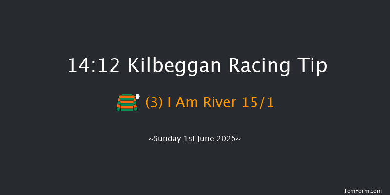 Kilbeggan 14-12 20f Fri 16th May 2025