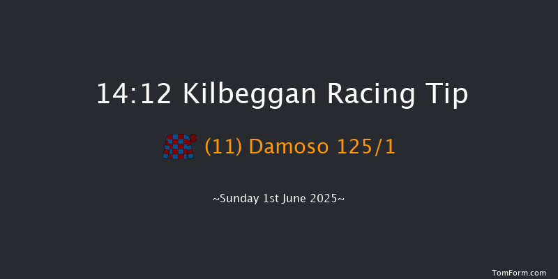 Kilbeggan 14-12 20f Fri 16th May 2025