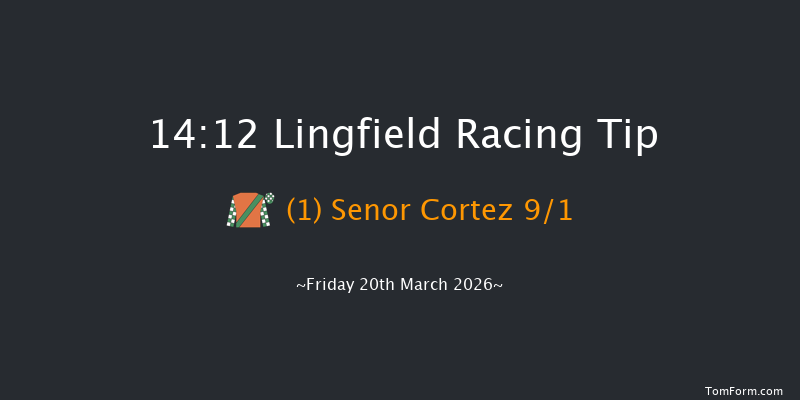 Lingfield 14-12 (Class 5) 15f Thu 5th Mar 2026