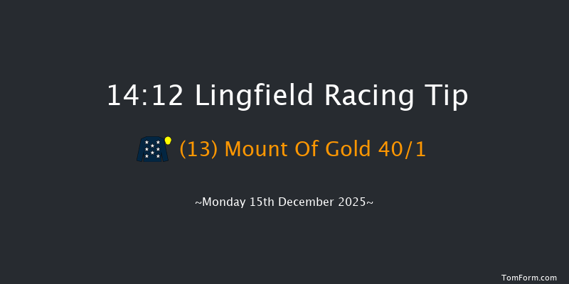 Lingfield 14-12 (Class 6) 10f Sat 13th Dec 2025