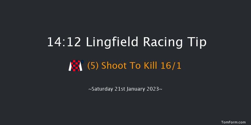 Lingfield 14:12 Handicap (Class 4) 7f Sat 14th Jan 2023